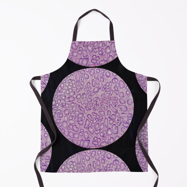 Item preview, Histology of stomach pits, glands, human tissue, H&E, 20x designed and sold by Psymier.