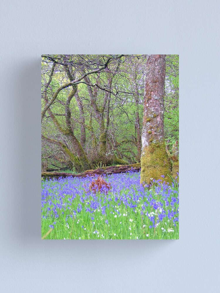 Alternate view of Bluebell Wood Canvas Print