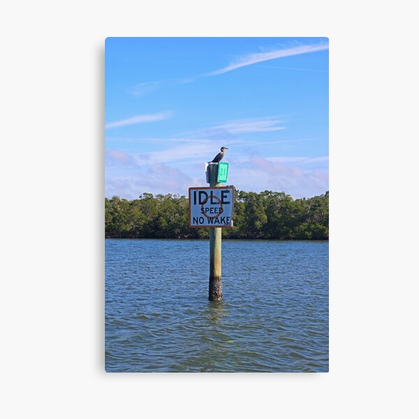 Wake Patrol Canvas Print