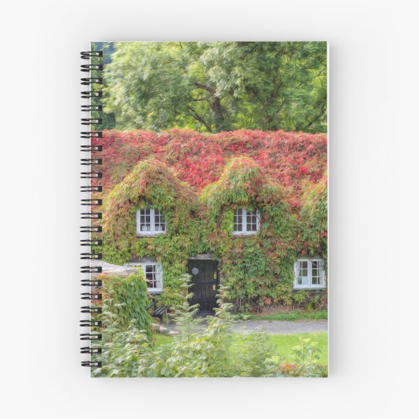 Item preview, Ivy Cottage Llanrwst north Wales  designed and sold by AJEvans.