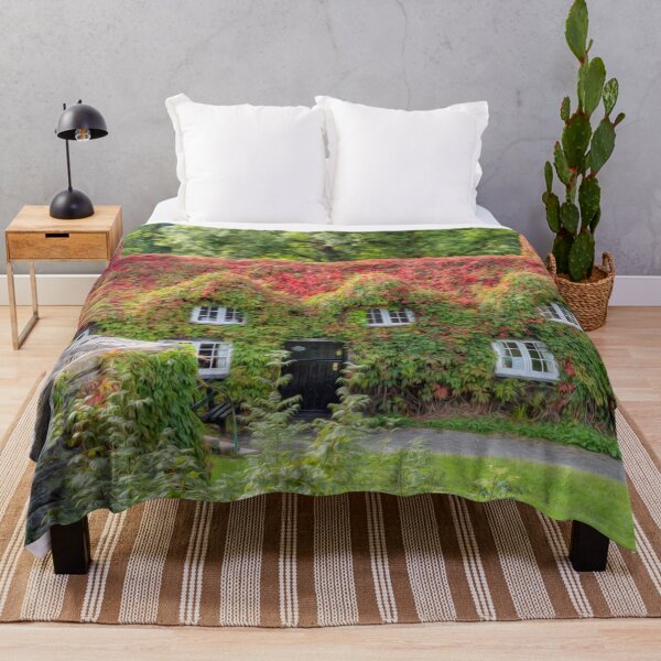 Item preview, Ivy Cottage Llanrwst north Wales  designed and sold by AJEvans.