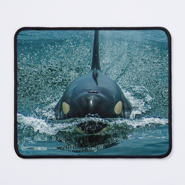 Item preview, Orca designed and sold by iansmissenphoto.