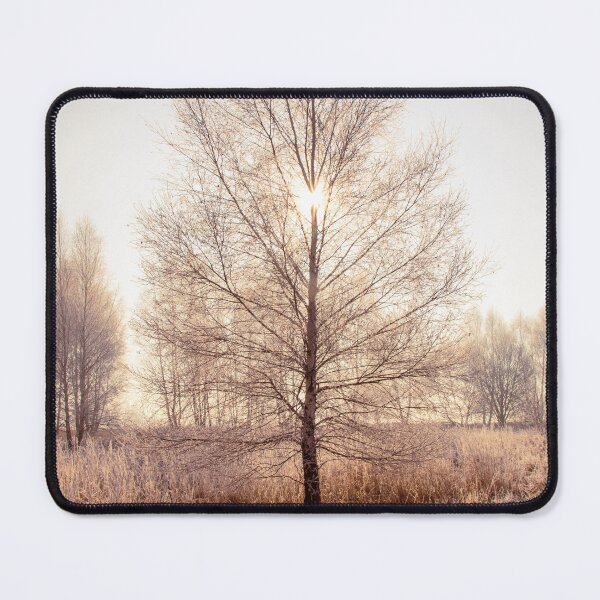 Item preview, Mornin tree / Early spring morning designed and sold by ForestFrame.