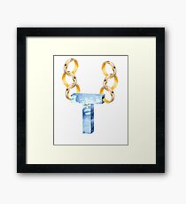 Ice T Framed Print