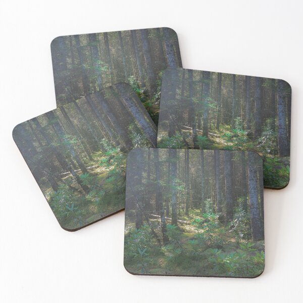 Item preview, Old forest near Tobermory designed and sold by Neil S Grainger.