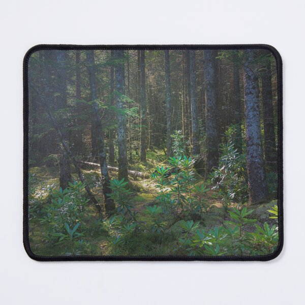 Item preview, Old forest near Tobermory designed and sold by Neil S Grainger.