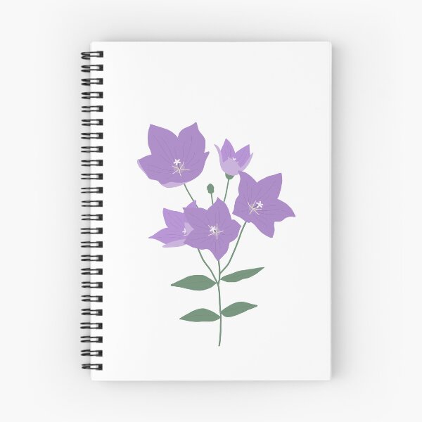 Item preview, Beautiful Balloon Flower designed and sold by jebi-garden.