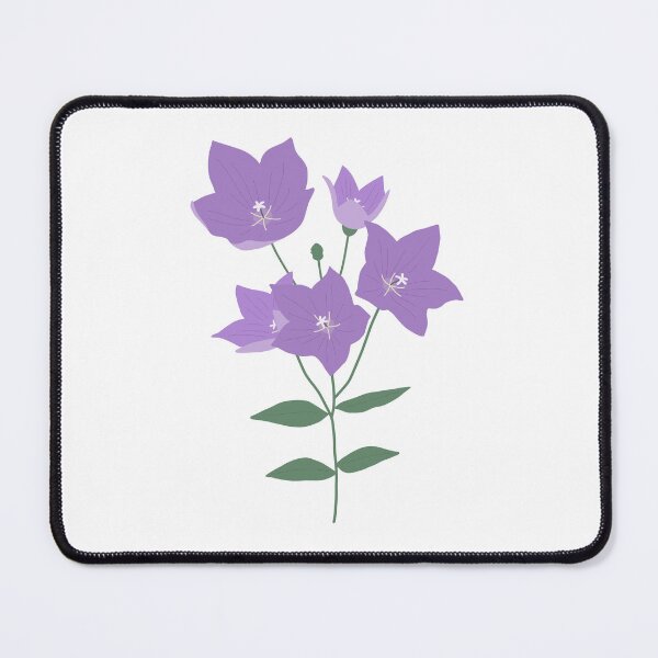 Item preview, Beautiful Balloon Flower designed and sold by jebi-garden.