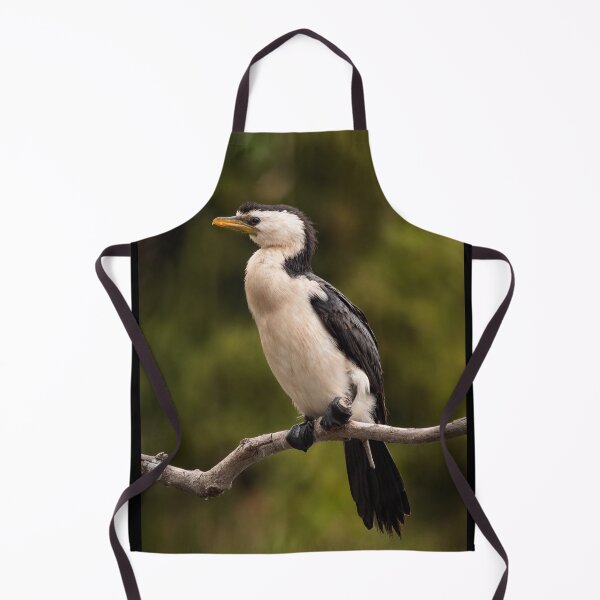 Item preview, Little Pied Cormorant designed and sold by iansmissenphoto.