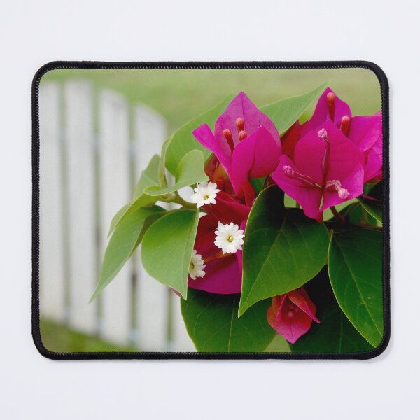 Item preview, Flowers and a picket fence, Thailand designed and sold by JonDelorme.