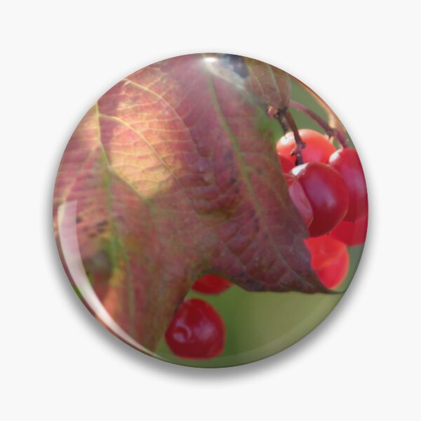 Artikelvorschau, Rote Beeren entworfen und verkauft von Calidris Fotografie Steffi & Ben Köppler.