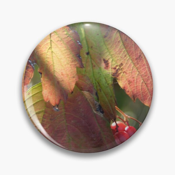 Item preview, Leaf coloration and red berries designed and sold by Calidris Fotografie Steffi & Ben Köppler.
