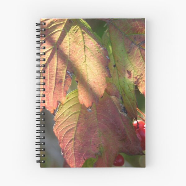 Item preview, Leaf coloration and red berries designed and sold by Calidris Fotografie Steffi & Ben Köppler.