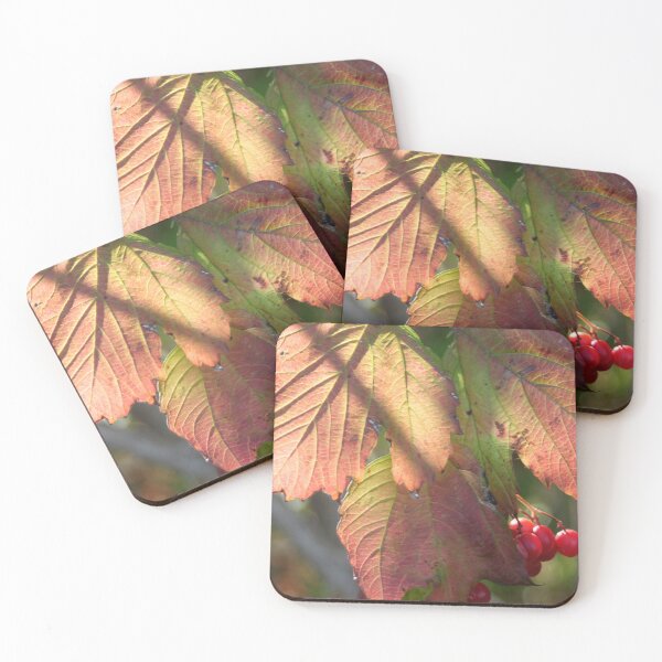 Item preview, Leaf coloration and red berries designed and sold by Calidris Fotografie Steffi & Ben Köppler.