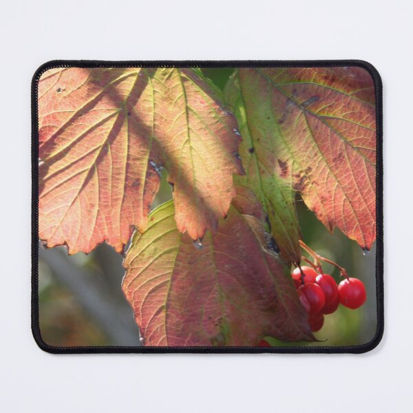 Item preview, Leaf coloration and red berries designed and sold by Calidris Fotografie Steffi & Ben Köppler.