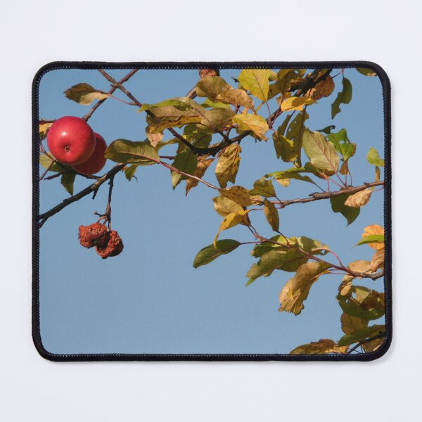 Item preview, Red Apple designed and sold by Calidris Fotografie Steffi & Ben Köppler.