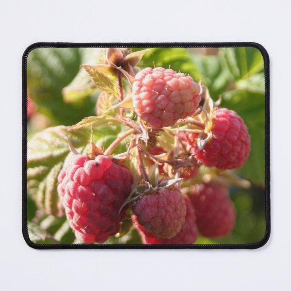 Item preview, Raspberries designed and sold by Calidris Fotografie Steffi & Ben Köppler.