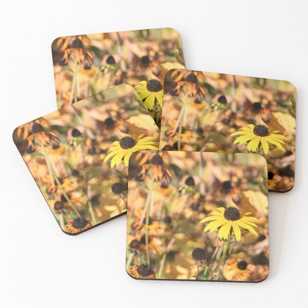 Item preview, Black-eyed Susan designed and sold by Calidris Fotografie Steffi & Ben Köppler.