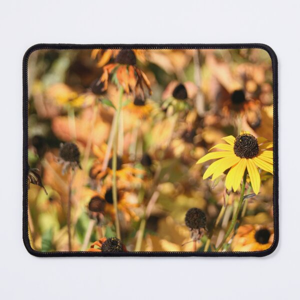 Item preview, Black-eyed Susan designed and sold by Calidris Fotografie Steffi & Ben Köppler.