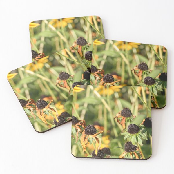 Item preview, Black-eyed Susan designed and sold by Calidris Fotografie Steffi & Ben Köppler.