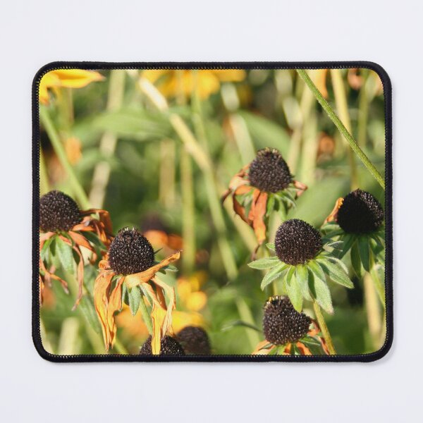 Item preview, Black-eyed Susan designed and sold by Calidris Fotografie Steffi & Ben Köppler.