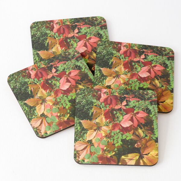 Item preview, Autumn colours designed and sold by Calidris Fotografie Steffi & Ben Köppler.