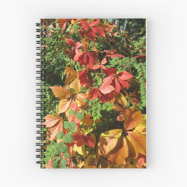 Item preview, Autumn colours designed and sold by Calidris Fotografie Steffi & Ben Köppler.
