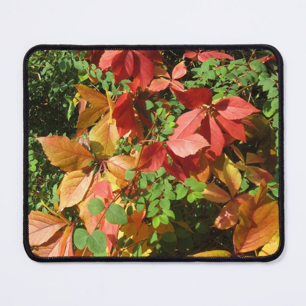 Item preview, Autumn colours designed and sold by Calidris Fotografie Steffi & Ben Köppler.