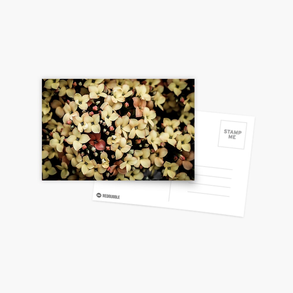 Item preview, Postcard designed and sold by littleoldhag.