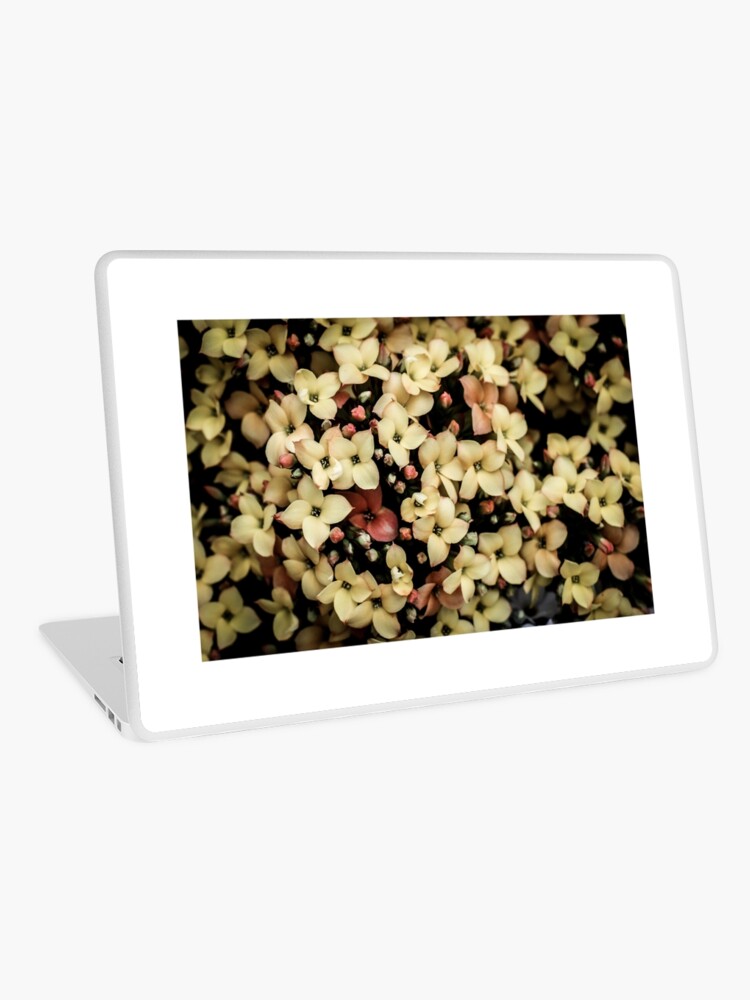 Thumbnail 1 of 2, Laptop Skin, Gentle Yellow Flowers designed and sold by littleoldhag.