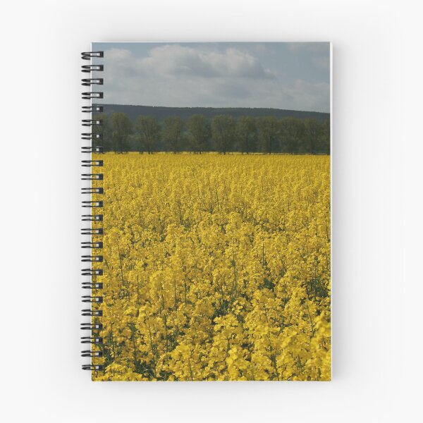 Item preview, Canola field designed and sold by Calidris Fotografie Steffi & Ben Köppler.