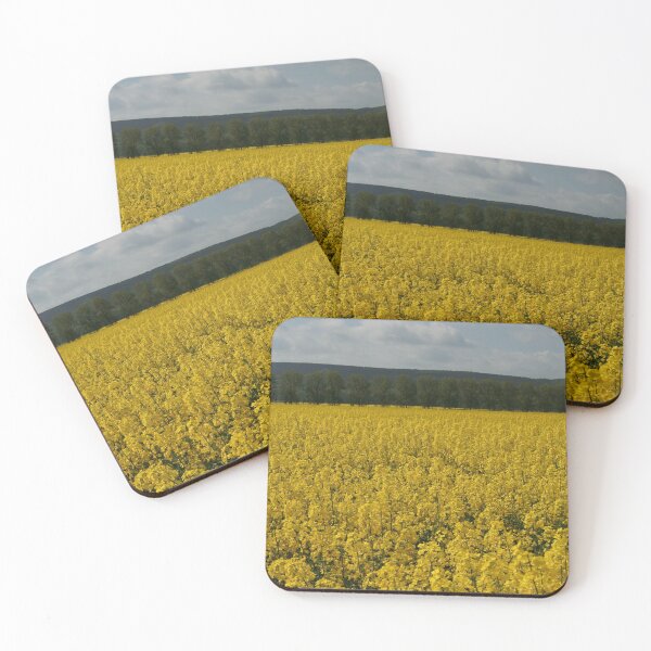 Item preview, Canola field designed and sold by Calidris Fotografie Steffi & Ben Köppler.