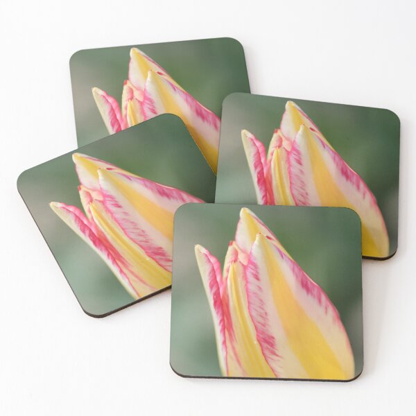 Item preview, Yellow Tulip designed and sold by Calidris Fotografie Steffi & Ben Köppler.