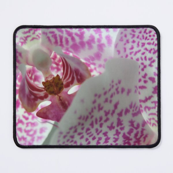 Item preview, Orchid designed and sold by Calidris Fotografie Steffi & Ben Köppler.