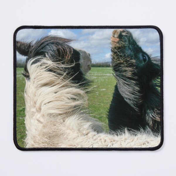 Item preview, Irish cobs designed and sold by Calidris Fotografie Steffi & Ben Köppler.