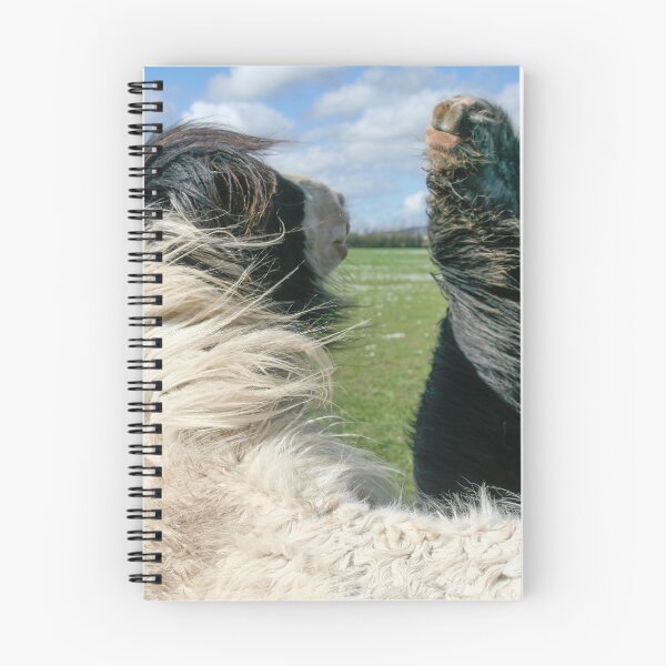 Item preview, Irish cobs designed and sold by Calidris Fotografie Steffi & Ben Köppler.