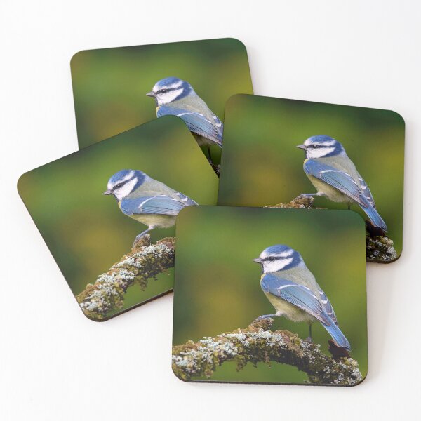 Item preview, Tit azul designed and sold by Tom McPherson Photography.