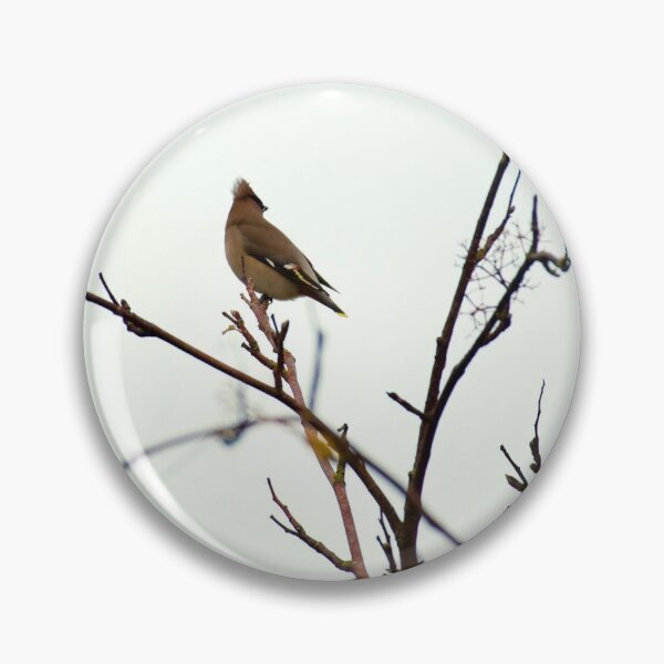 Item preview, Waxwings  designed and sold by jimmyboysnapz.