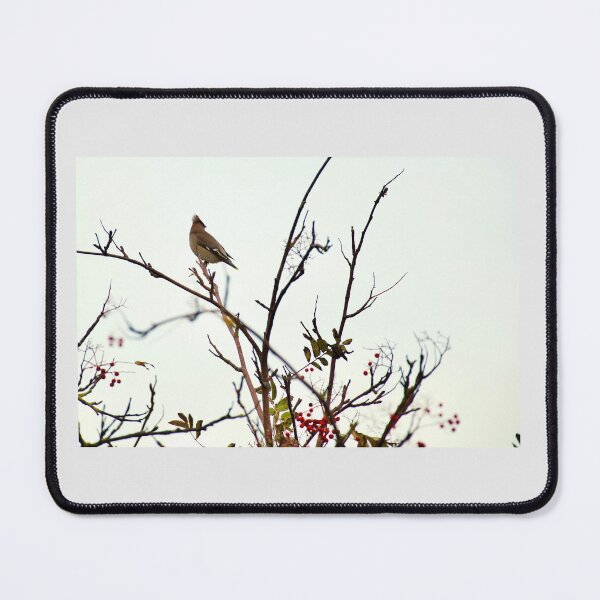 Item preview, Waxwings  designed and sold by jimmyboysnapz.