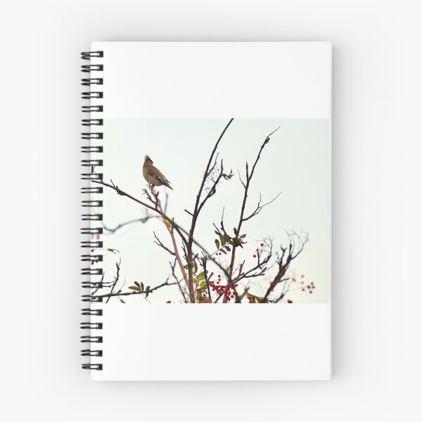 Item preview, Waxwings  designed and sold by jimmyboysnapz.
