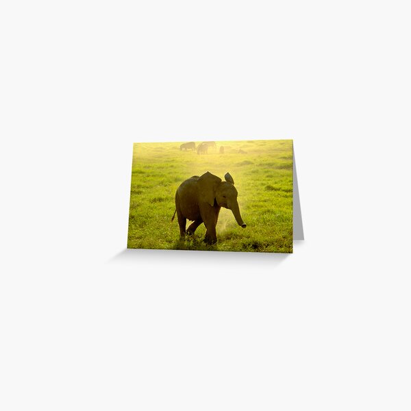 Little Big Man Greeting Card