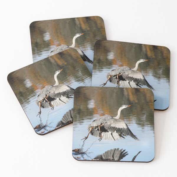Item preview, Great Blue Heron Taking off and flying away designed and sold by myhuskymax.
