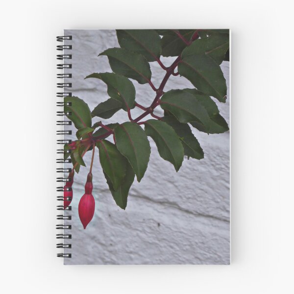 Item preview, Wall Flowers designed and sold by Paul Pasco.