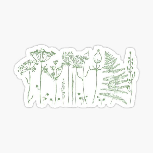 An illustrated border of sage green botanical images Sticker