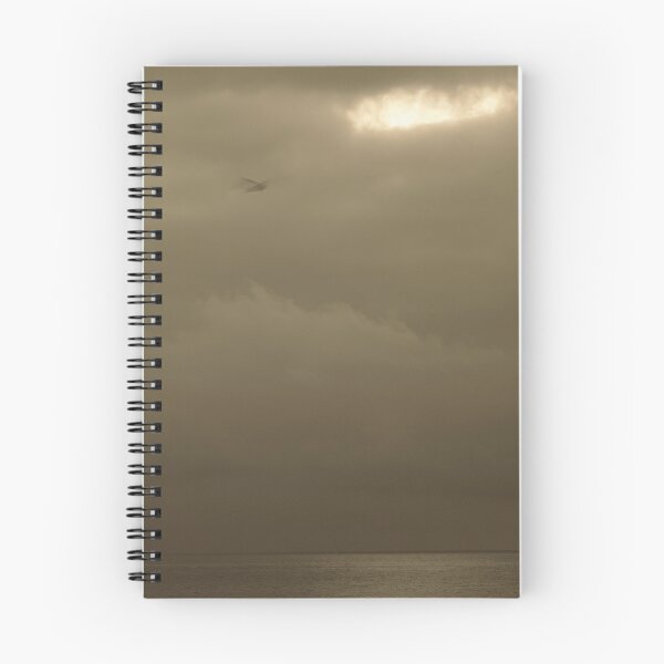 Item preview, 2023 Antico mare di seppia, il gabbiano designed and sold by robertoferrero.