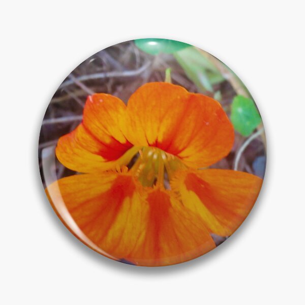 Item preview, Orange nasturtium designed and sold by Shulie1.