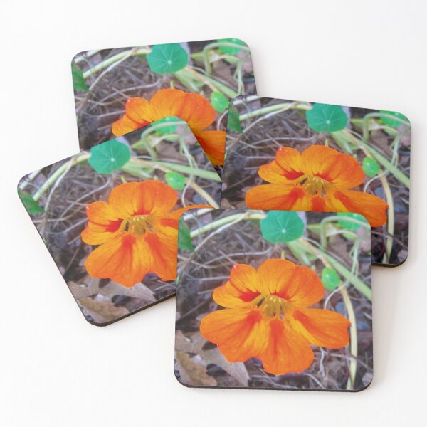 Item preview, Orange nasturtium designed and sold by Shulie1.