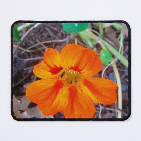 Item preview, Orange nasturtium designed and sold by Shulie1.