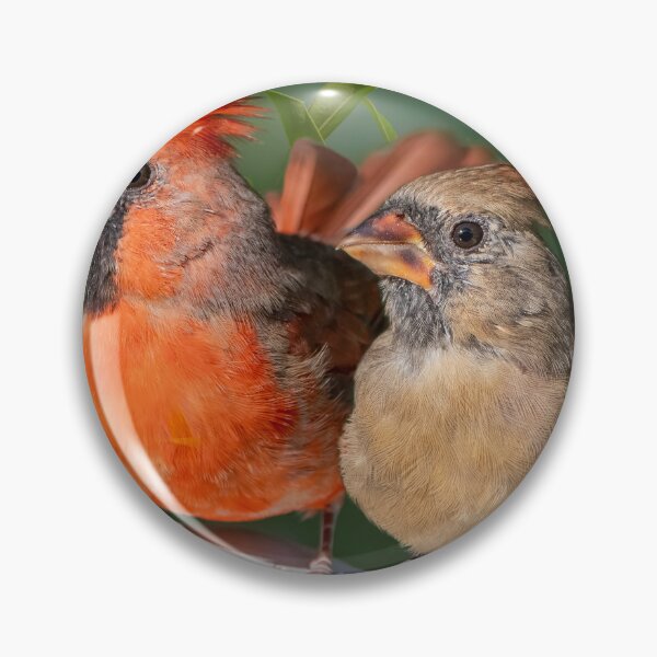 Item preview, Mr. and Mrs. Cardinal designed and sold by Bonnie T.  Barry.