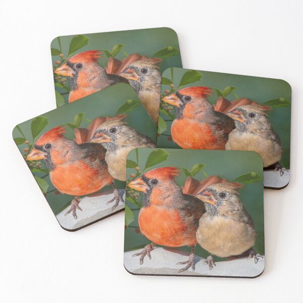 Item preview, Mr. and Mrs. Cardinal designed and sold by Bonnie T.  Barry.